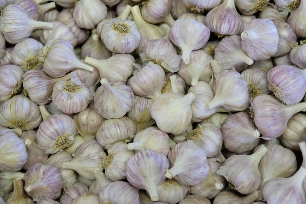 clove-of-garlic-ffvnxnamaw0 Garlic